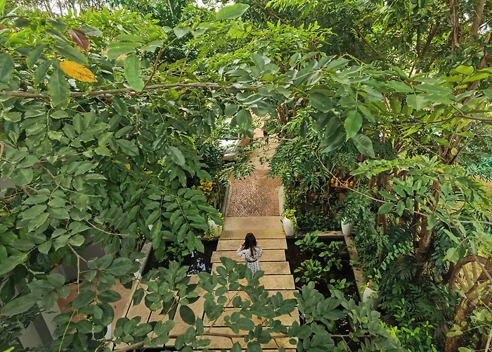 Cheata Hotel Siem Reap